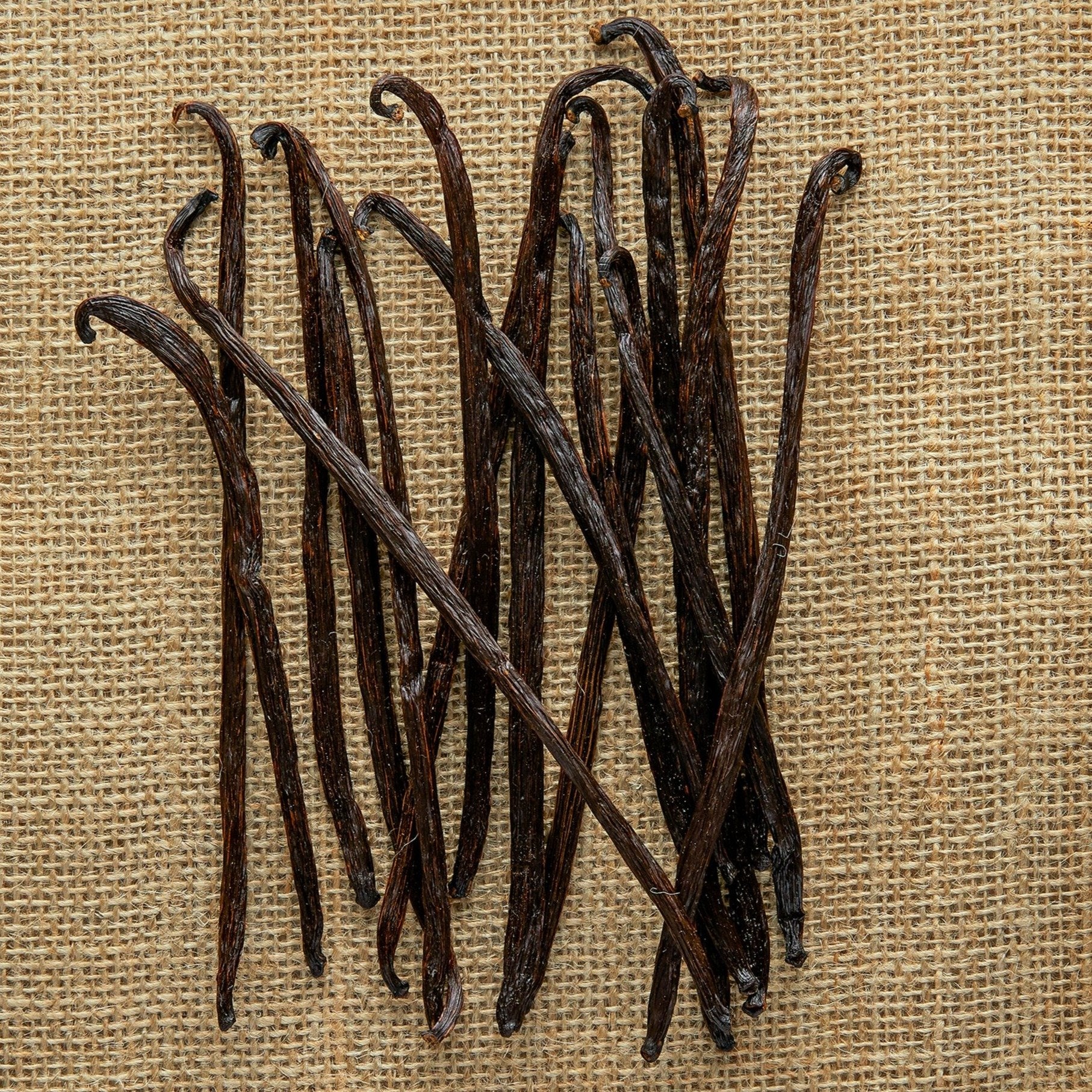 Nyanza Vanilla Extract Kit - Image 2