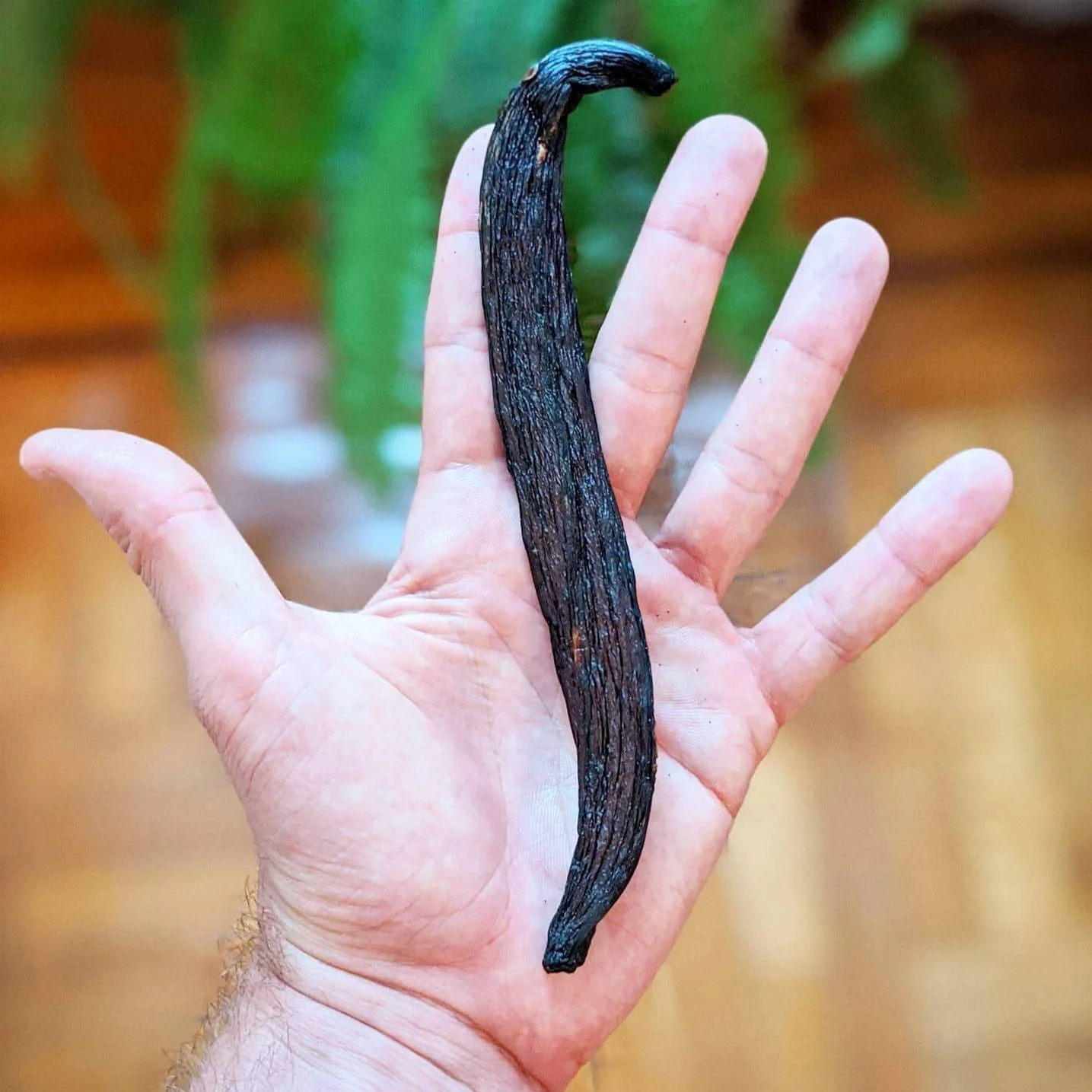 Pompona Vanilla Powder - Image 8