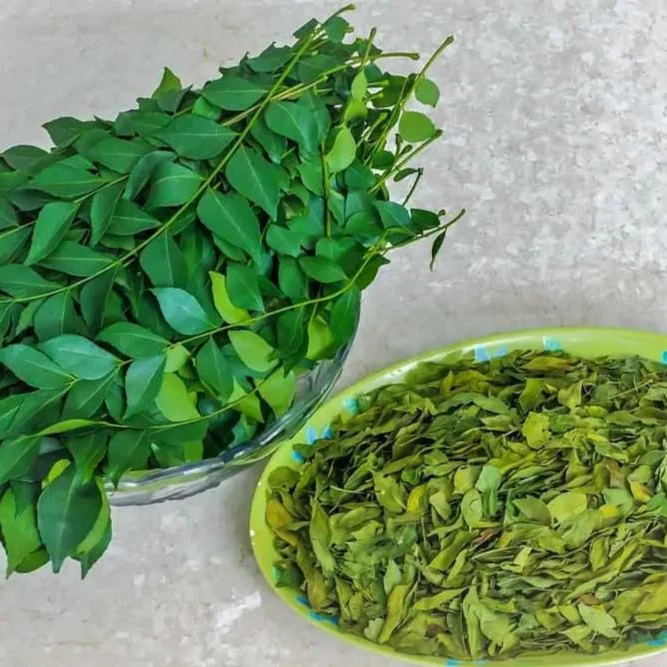 Prasad's Curry Leaf - Image 5
